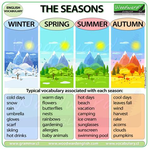 4 Seasons Summer Betsul