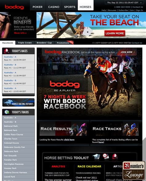 50 Horses Bodog