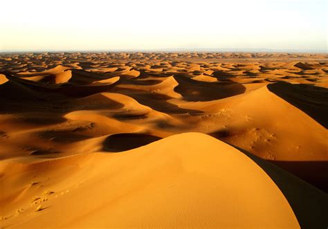 A Lamina E A Alma Do Deserto De Roleta