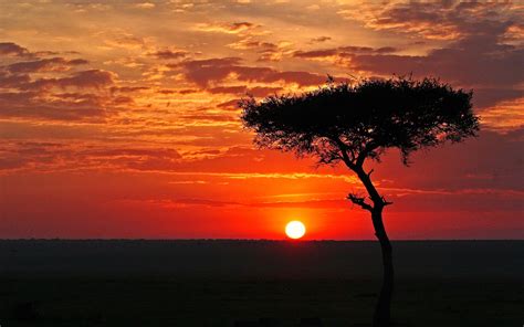 African Sunset Betsul