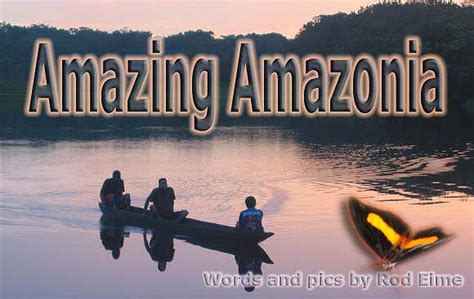 Amazing Amazonia Brabet