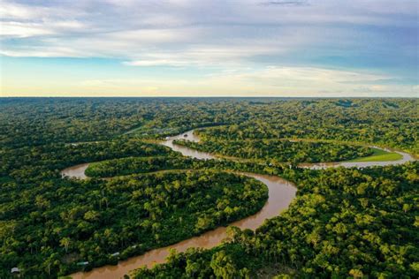 Amazonia Betsul