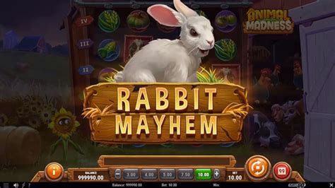 Animal Madness 888 Casino