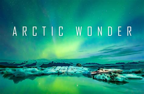 Arctic Wonders Bet365