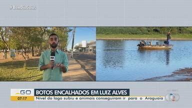 Arma Lago Funcionarios Do Casino