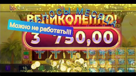 Belbet Casino App