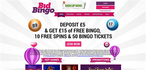 Bid Bingo Casino