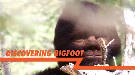 Big Foot Blaze