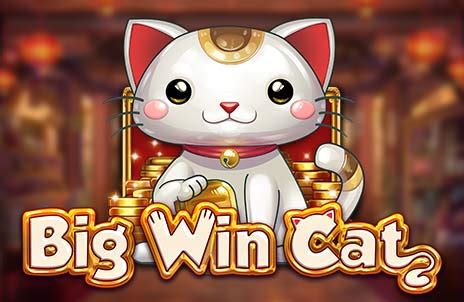 Big Win Cat Pokerstars