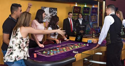 Bingo Bet Casino Colombia
