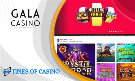 Bingo Bonus Casino Ecuador