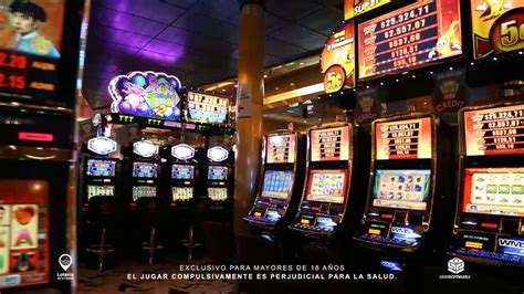 Bingoflash Casino Argentina