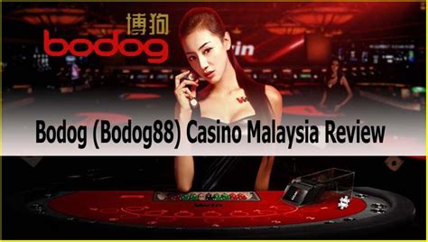 Bodog Casino Malasia