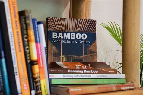 Book Of Bamboo Novibet