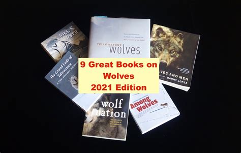 Book Of Wolves Review 2024