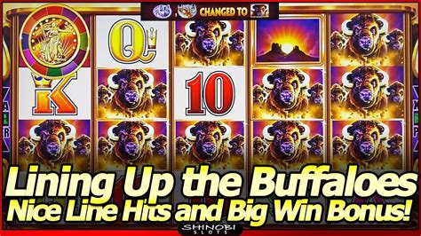 Buffalo Slot Wins 2024