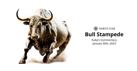 Bull Stampede Betway