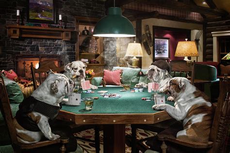 Bulldog Noite De Poker