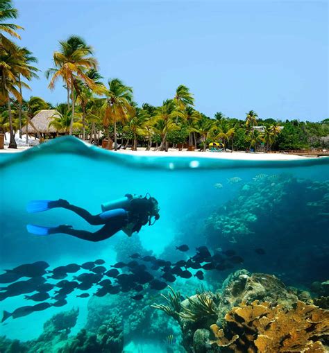 Caribbean Diver Betfair
