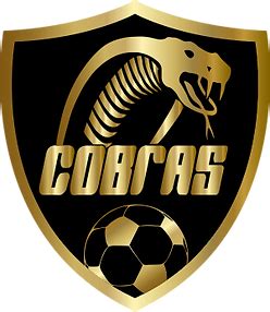 Casino Cobras De Futebol