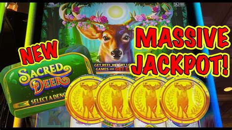 Casino Jackpot Red Deer Vencedor