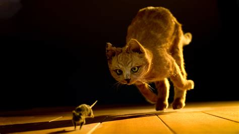 Cat And Mouse Sportingbet