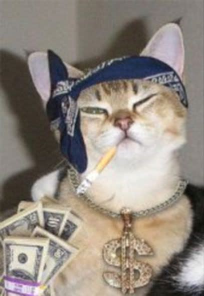 Cat Gangster Betsson