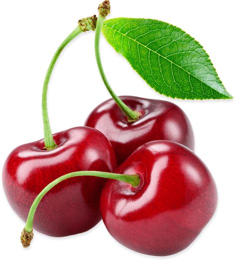 Cherry Cherry Brabet