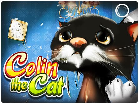 Colin The Cat Betfair