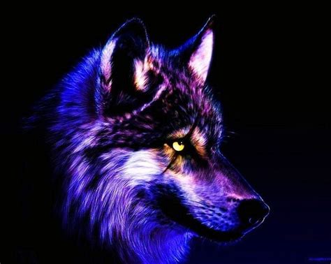 Cool Wolf Betsul