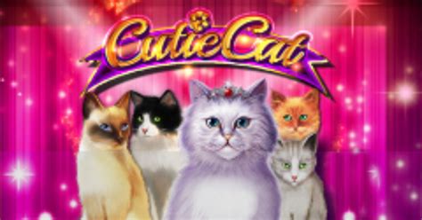 Cutie Cat Betfair