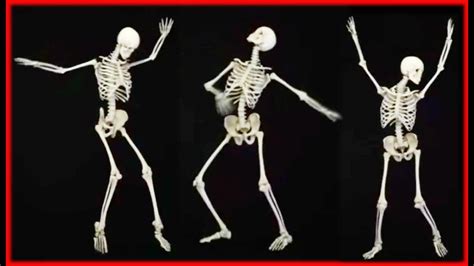 Dancing Bones Parimatch