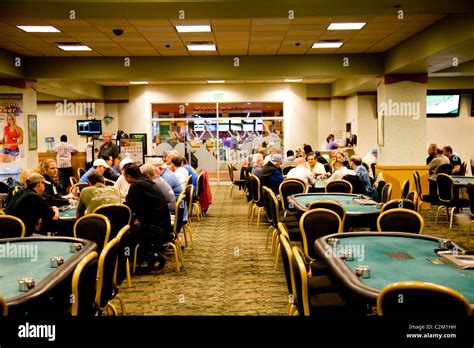 Daytona Greyhound Sala De Poker