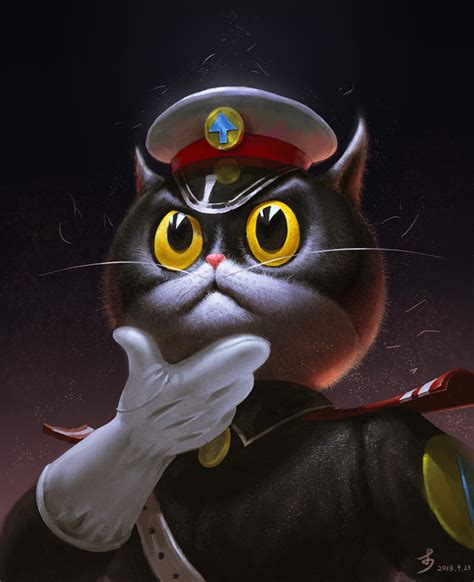 Detective Black Cat Novibet