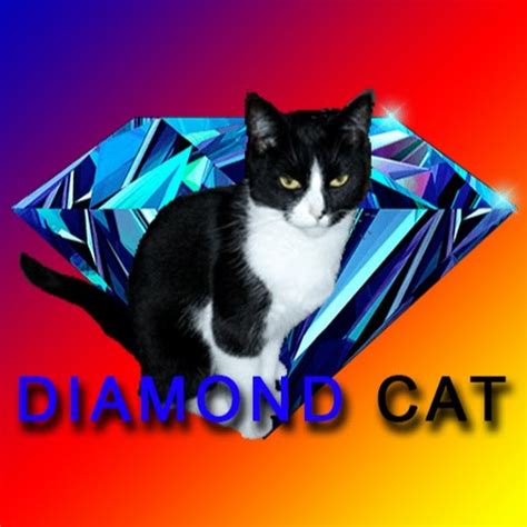 Diamond Cats Bodog