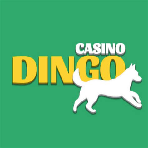 Dingo Casino Haiti