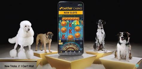 Dog Squad Betfair