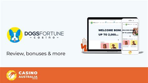 Dogsfortune Casino Aplicacao