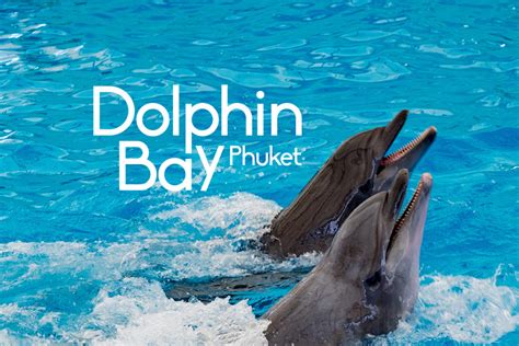 Dolphin Bay Betsul