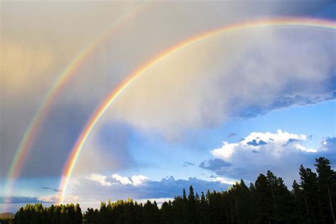 Double Rainbow Bodog