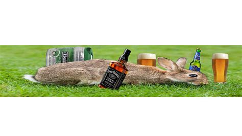 Drunk Rabbit Betfair