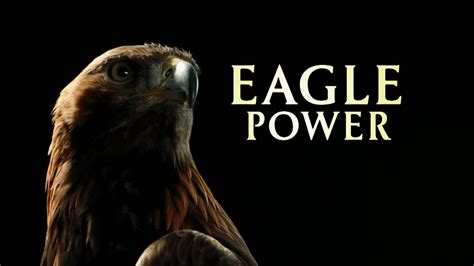 Eagle Power Brabet