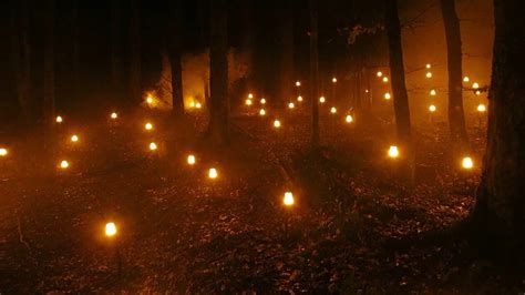 Enchanted Forest Blaze