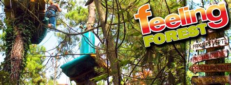 Feelings Forest Review 2024