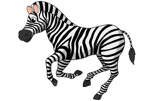 Fendas De Zebra Idiotas