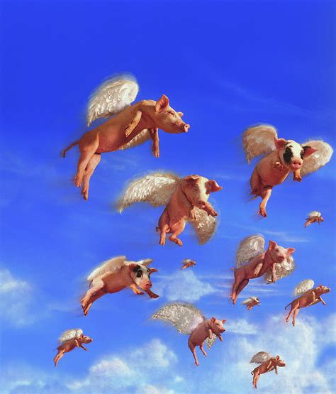 Flying Pigs Review 2024