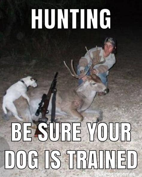 Funny Hunting Betfair