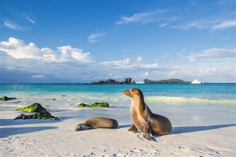 Galapagos Islands Sportingbet