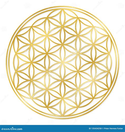 Golden Flower Of Life Novibet