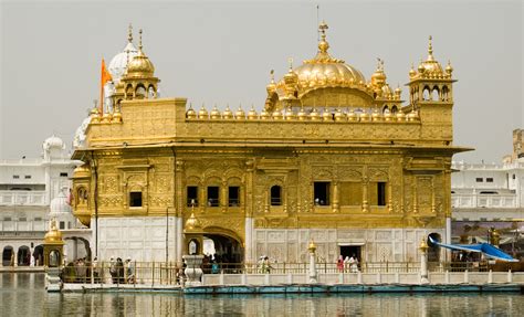 Golden Temple Bodog